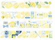 画像2: ※予約※8/9まで　 Neinei/PET/The lemon（柠檬满满）*67 (2)