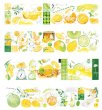 画像3: 【再入荷】切売り有☆ Neinei/オレンジ（芒提橙橙）*103 (3)