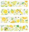 画像2: 【再入荷】切売り有☆ Neinei/オレンジ（芒提橙橙）*103 (2)