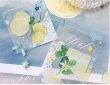 画像5: ※予約※8/9まで　 Neinei/PET/The lemon（柠檬满满）*67 (5)