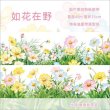 画像1: 爱丽丝茶会/野の花（如花在野）*27 (1)