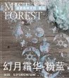 画像1: 切売り有☆迷雾森林/PETテープ/幻の月（幻月霜华）*90 (1)