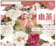 画像1: 切売り有☆熊猫日記/ツバキ（山茶） (1)