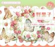 画像1: 切売り有☆熊猫日記/PETテープ/木の実（野果子） (1)