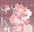 画像1: 切売り有☆moodtape/さくら（樱本花心）※5M (1)