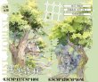 画像1: 切売り有☆迷雾森林/迷いの森(1)（迷兔森林）*138 (1)