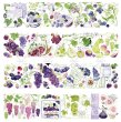 画像1: 切売り有☆Neinei/PETテープ/ぶどう（葡果盈盈） (1)