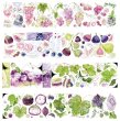 画像2: 切売り有☆Neinei/PETテープ/ぶどう（葡果盈盈） (2)