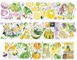 画像3: 切売り有☆Neinei/新鮮野菜（鲜蔬脆脆） (3)