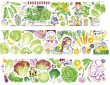 画像2: 切売り有☆Neinei/新鮮野菜（鲜蔬脆脆） (2)