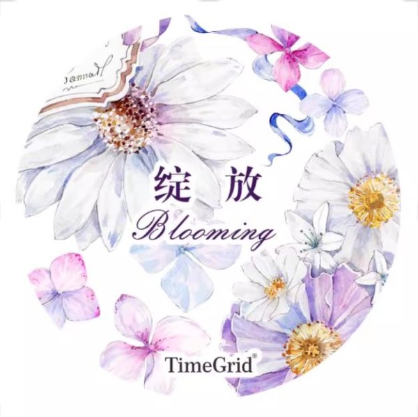 画像1: 切売り有☆TimeGrid/PET/ブルーミング（绽放） (1)