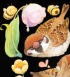 画像1: ※予約-8/21まで※　切売り有☆703工作室/すずめ（喳喳雀） (1)