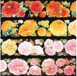画像2: ※予約-8/21まで※　切売り有☆703工作室/季節の花（四季山茶） (2)